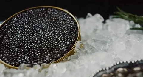 خاویار گیاهی بافت نرم شفافیت دانه اندیشه پذیر